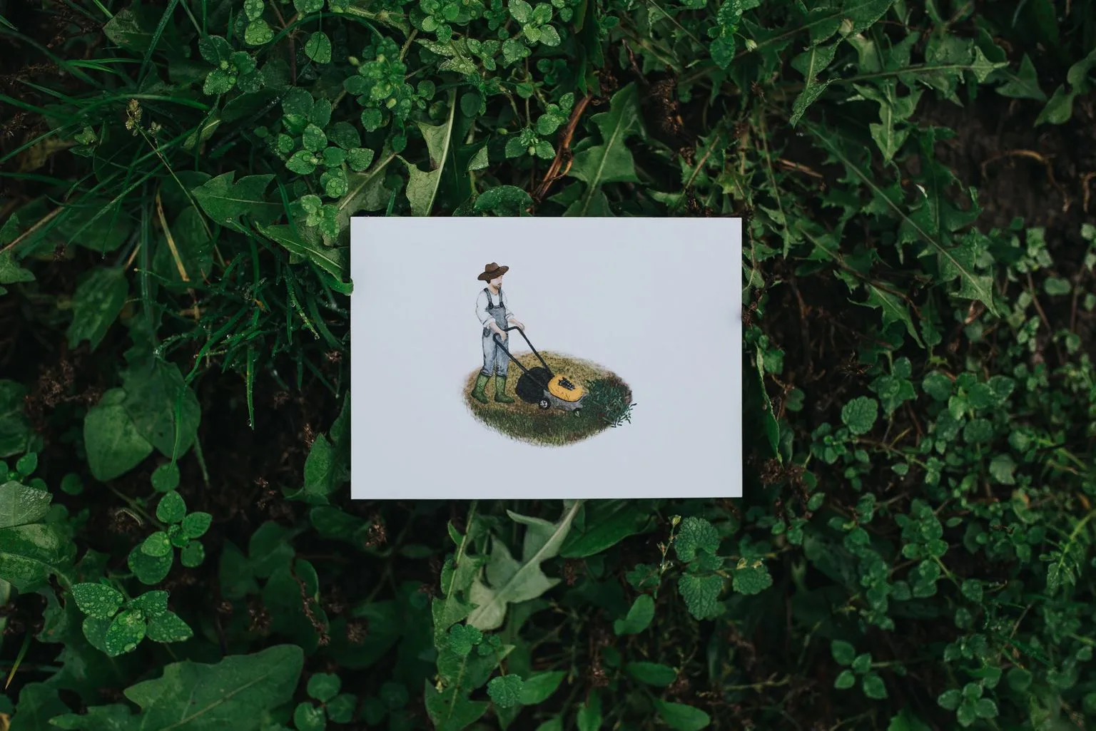 Ilustrácie do knihy