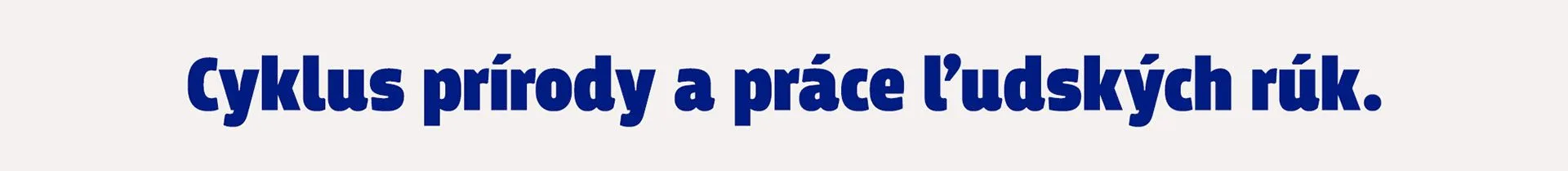 KVET - kvetinová farma - obrázok 3