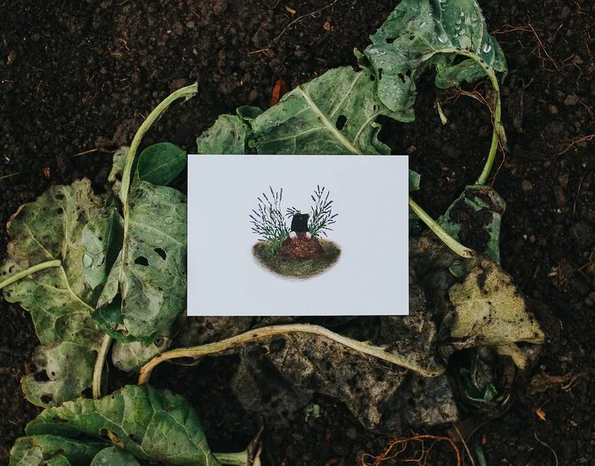 Ilustrácie na pohľadnice pre vuvu.garden