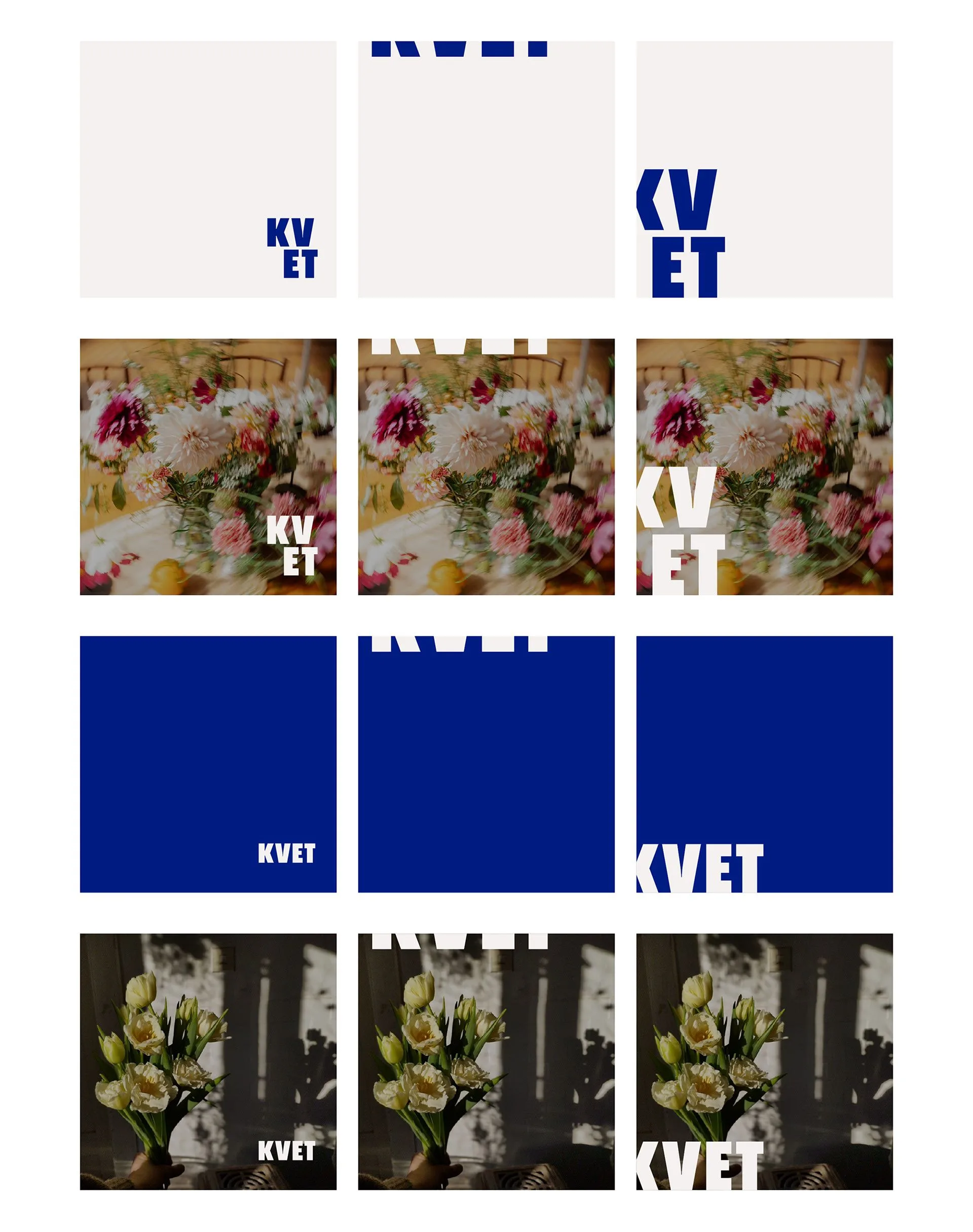 KVET - kvetinová farma - obrázok 10