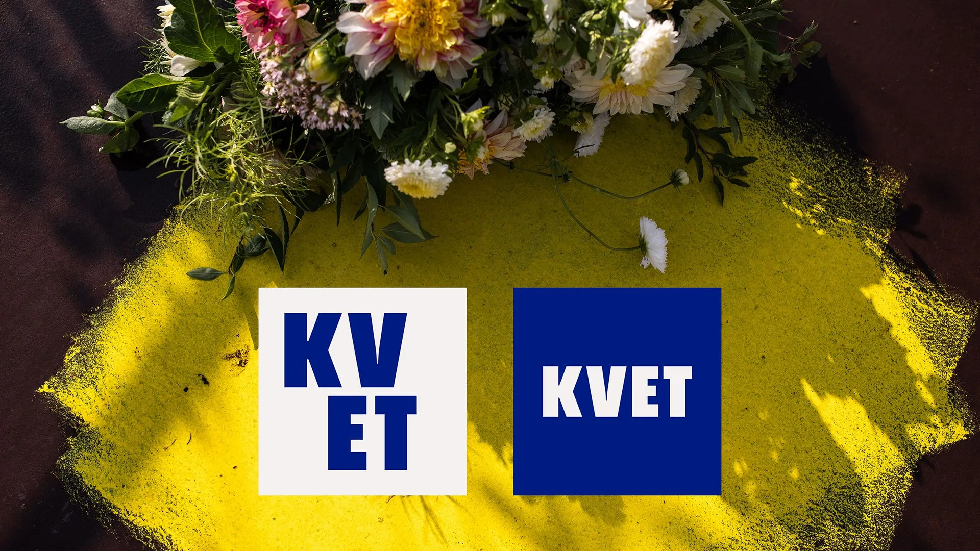 Portfolio ukážka
